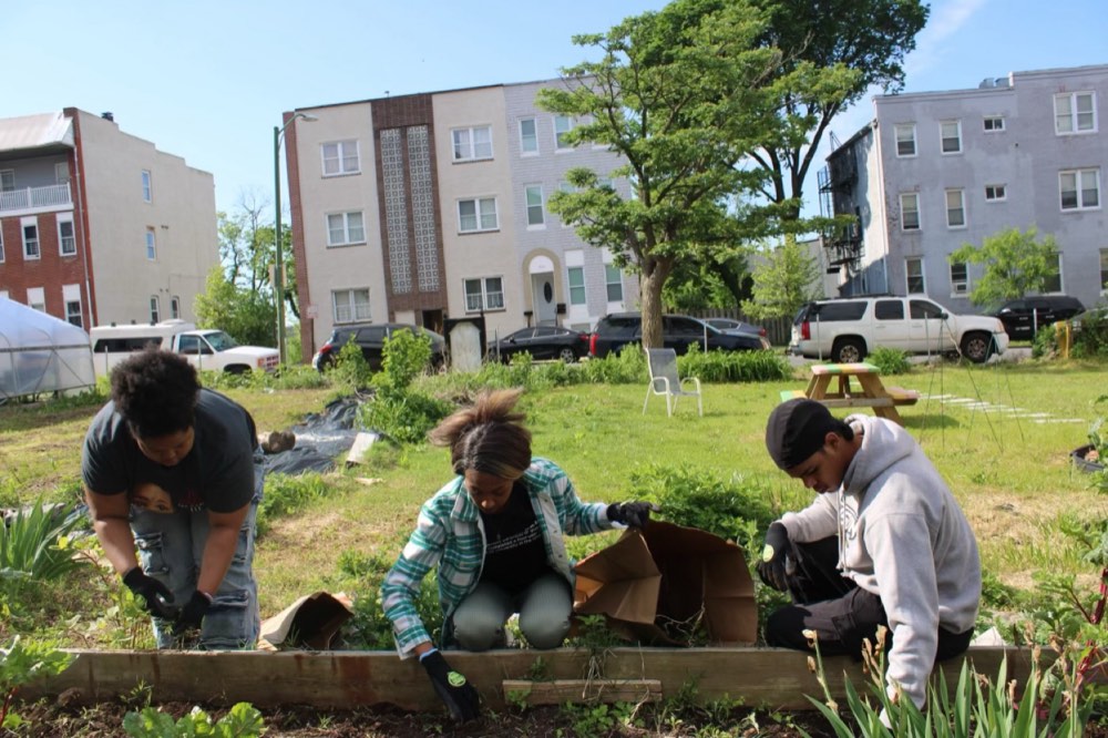 Three club members kneeling at a raised bed in a Baltimore community garden, rowhouses behind them