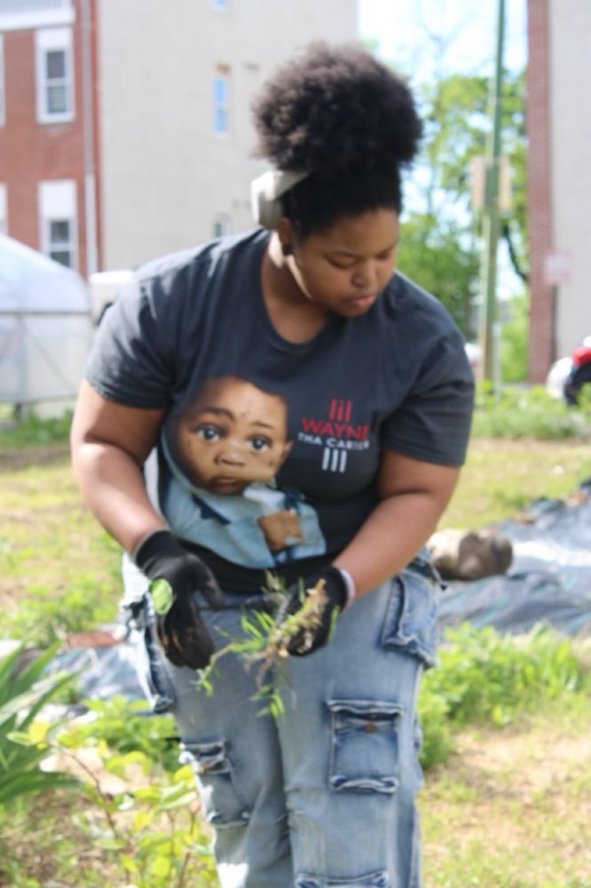 A student pulling weeds by hand, roots and all, in the community garden
